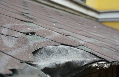 damaged shingles
