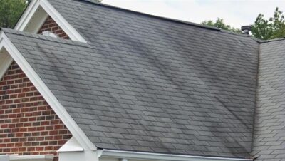 roof streaking