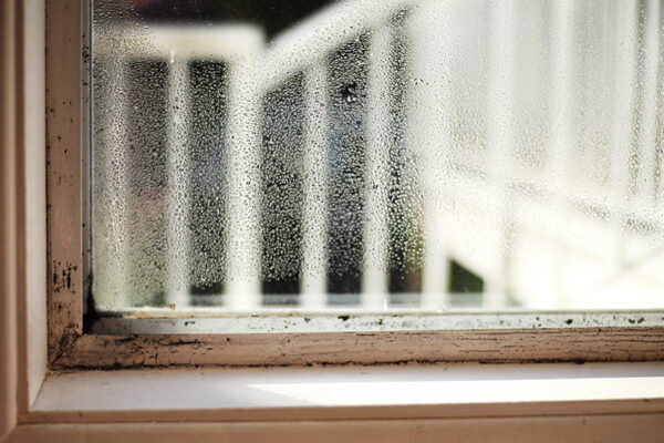 Moisture on Window